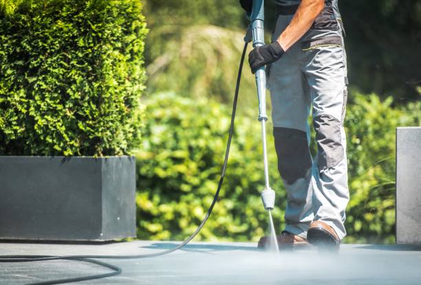 Best Solar Panel Cleaning  in Hastings, PA